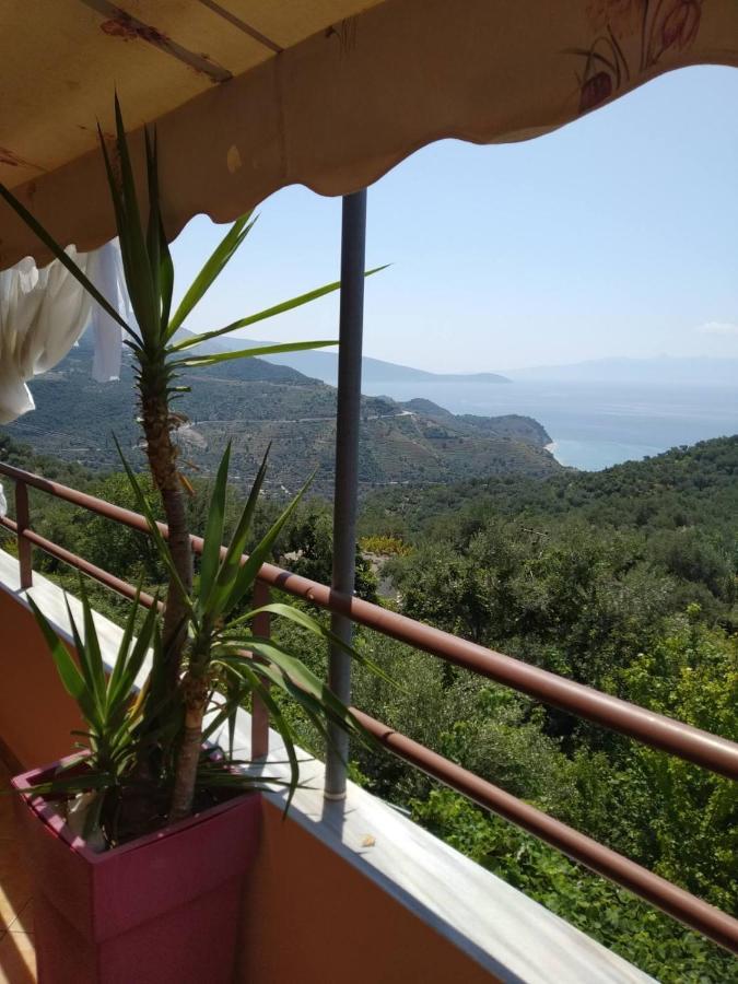 Maria Luxury 