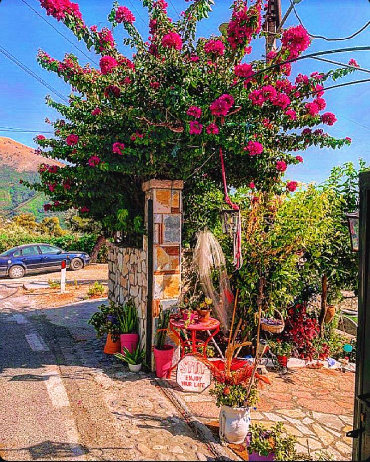 Apartment Maria Luxury 